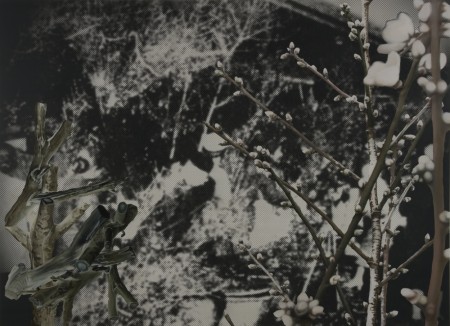 Flower Market (Nanjing 1936) #2, 2010 by John Young