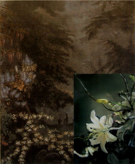 French Wallpaper: Flower Study II, 2005 by John Young