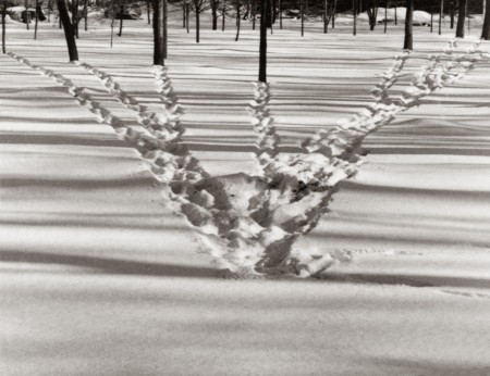 Manchurian Snow Walk (completed), 1979 by John Young