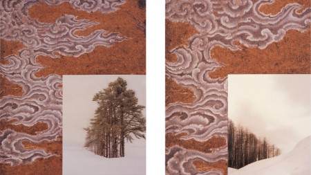 Snow Pines I and II, 2004 by John Young